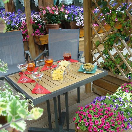 Hotel Villa Alpina ***S 코르티나 담페조 외부 사진