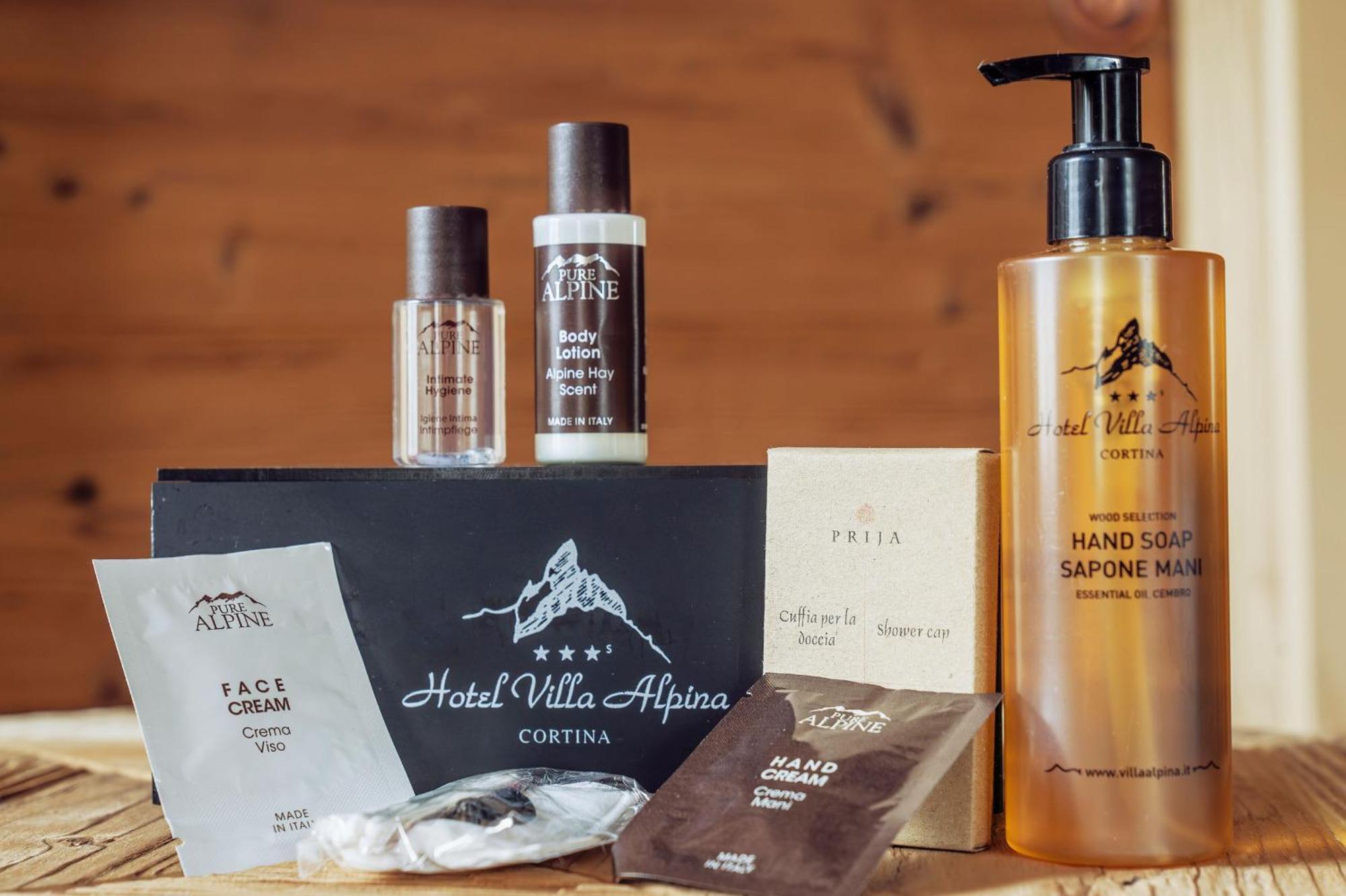 Hotel Villa Alpina ***S 코르티나 담페조 외부 사진